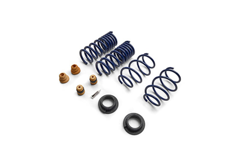 Ford Racing 15-24 Mustang Street Lowering Spring Kit