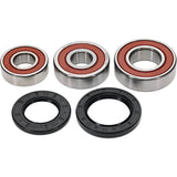 Pivot Works Kawasaki Wheel Bearing Kit Premium Bearings