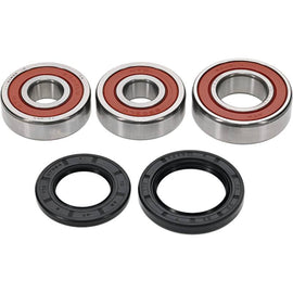 Pivot Works Kawasaki Wheel Bearing Kit Premium Bearings