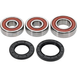 Pivot Works Kawasaki Wheel Bearing Kit Premium Bearings