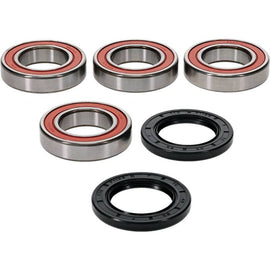 Pivot Works Arctic Cat Wheel Bearing Kit Premium Bearings