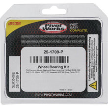 Load image into Gallery viewer, Pivot Works Arctic Cat, Kawasaki Wheel Bearing Kit Premium Bearings