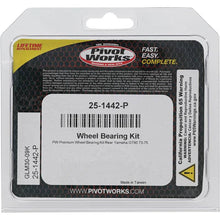 Load image into Gallery viewer, Pivot Works Yamaha Wheel Bearing Kit Premium Bearings