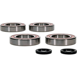 Pivot Works Kawasaki Wheel Bearing Kit Premium Bearings