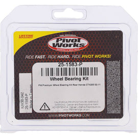 Pivot Works Honda Wheel Bearing Kit Premium Bearings