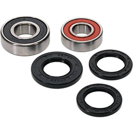 Pivot Works Polaris Wheel Bearing Kit Premium Bearings