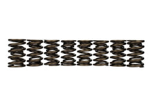 Load image into Gallery viewer, Ford Racing Replacement Valve Springs (TVS-1734) - Set Of 8