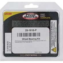 Load image into Gallery viewer, Pivot Works Aprilia Wheel Bearing Kit Premium Bearings