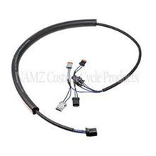 Load image into Gallery viewer, NAMZ 2018+ V-Twin Softail FLHC/S FLDE Plug-N-Play Replacement Rear Fender Harness