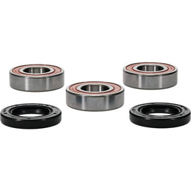Pivot Works Kawasaki, Suzuki Wheel Bearing Kit Premium Bearings