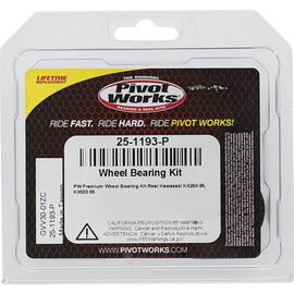 Pivot Works Kawasaki Wheel Bearing Kit Premium Bearings