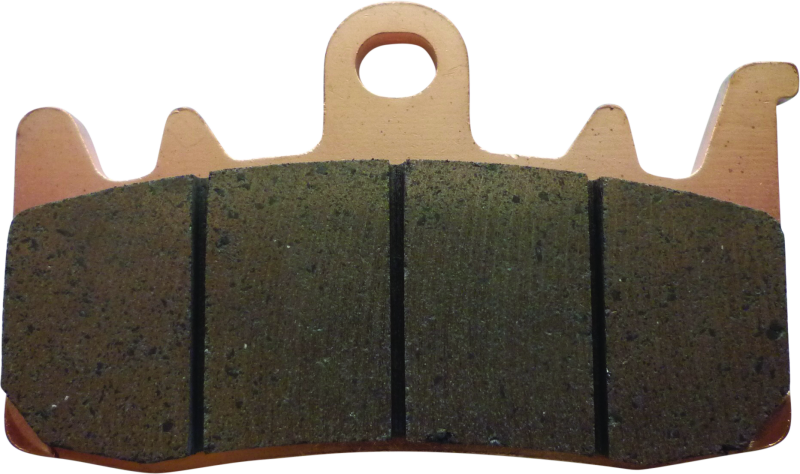 Twin Power 21-Up Pan America and Sportster S Sintered Brake Pads Replaces H-D 41300227 Front