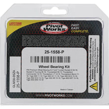 Load image into Gallery viewer, Pivot Works Triumph Wheel Bearing Kit Premium Bearings
