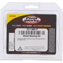 Load image into Gallery viewer, Pivot Works Kawasaki Wheel Bearing Kit Premium Bearings