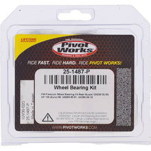 Load image into Gallery viewer, Pivot Works Suzuki Wheel Bearing Kit Premium Bearings