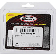 Load image into Gallery viewer, Pivot Works Honda Wheel Bearing Kit Premium Bearings
