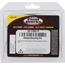 Load image into Gallery viewer, Pivot Works Kawasaki Wheel Bearing Kit Premium Bearings