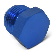 Load image into Gallery viewer, Russell Performance -12 AN Flare Plug (Blue)