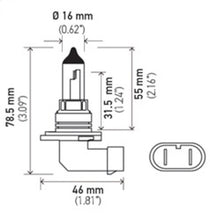 Load image into Gallery viewer, Hella Bulb 9006 12V 55W P22D T4 +50 (2)