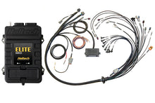 Load image into Gallery viewer, Haltech Elite 2500 Terminated Harness ECU Kit w/ EV1 Injector