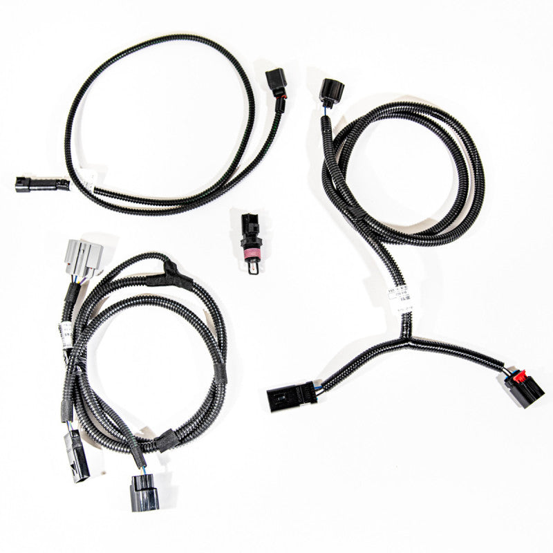 VMP Performance 11-14 Coyote 5.0L SC PnP Harness Kit (MAF IAT)