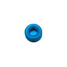 Load image into Gallery viewer, Russell Performance 1/4in Allen Socket Pipe Plug (Blue)