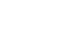 Turbo XS to Greddy Adapter